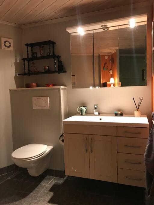 Charming Studio With Private Patio ستافانجر المظهر الخارجي الصورة